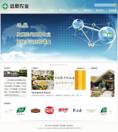 鄭州浩方網絡 專業賦能鄭州遠航農業科技，打造一體化數字平臺